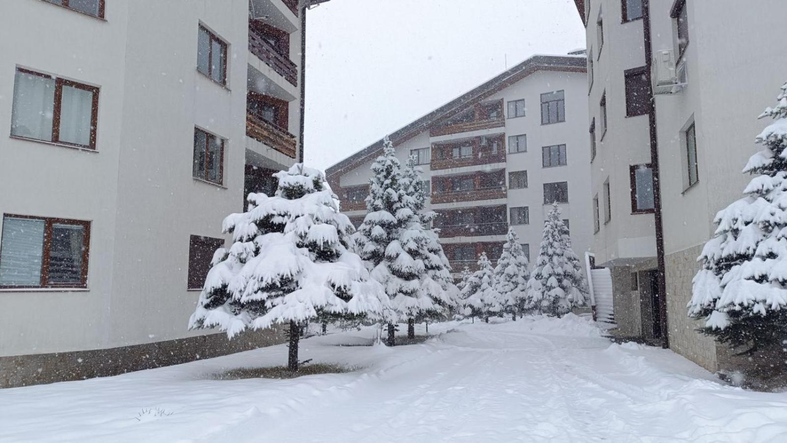 Apartment Detelina Residence Bansko Extérieur photo