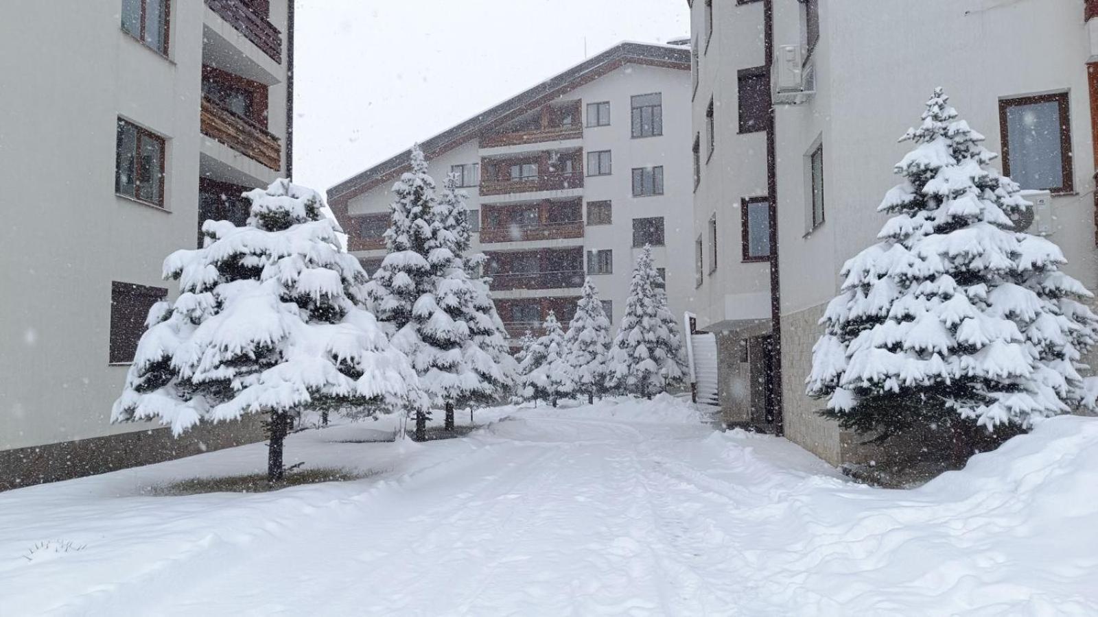 Apartment Detelina Residence Bansko Extérieur photo