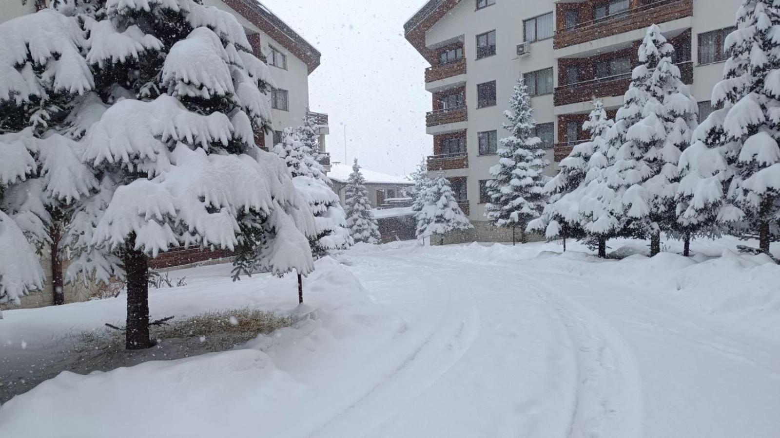 Apartment Detelina Residence Bansko Extérieur photo