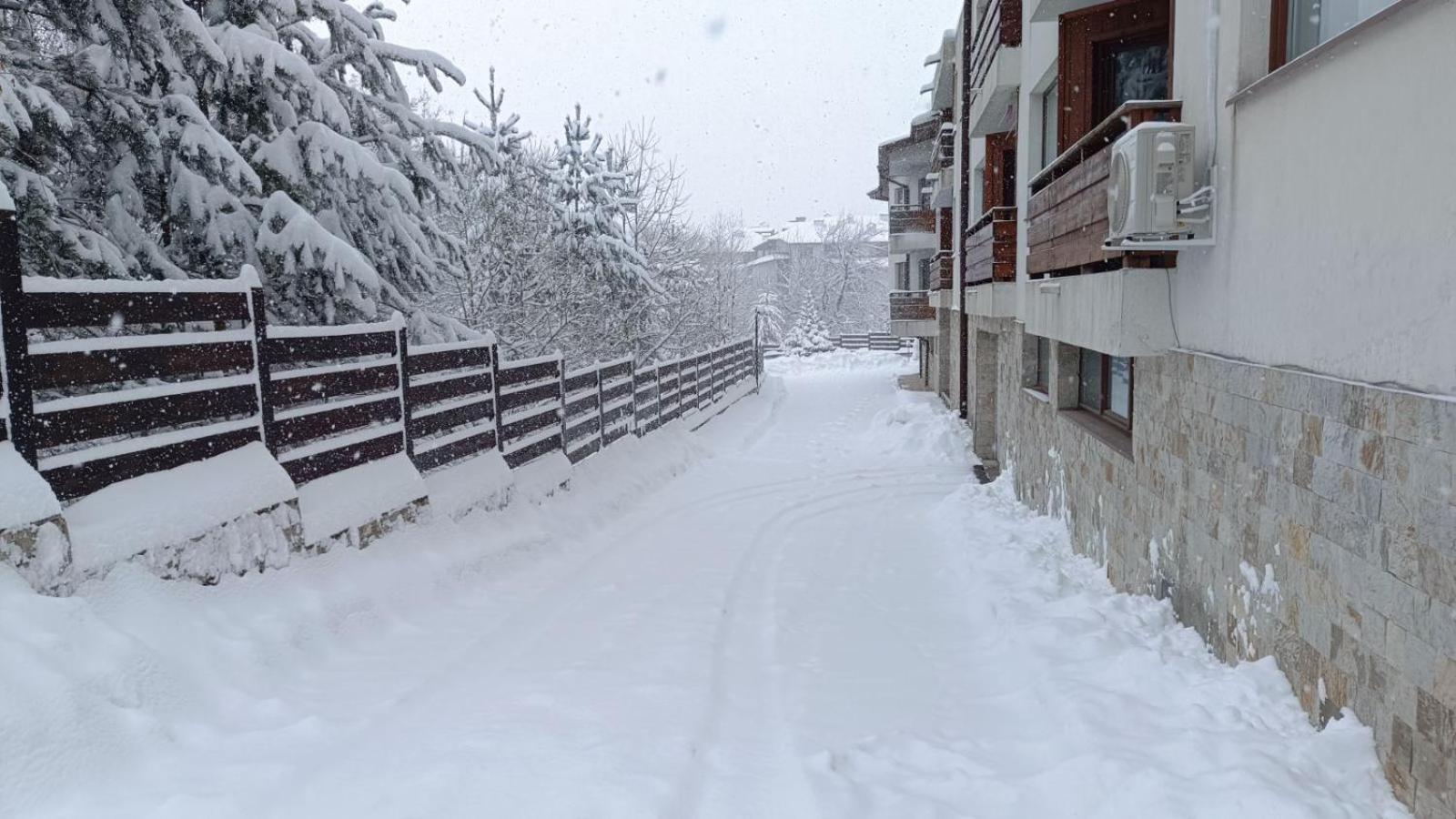 Apartment Detelina Residence Bansko Extérieur photo